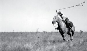 นักสังหารบนหลังม้า